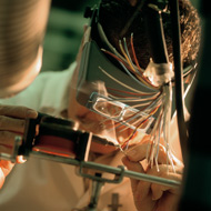 photo of a person working in the Electronics Business Group